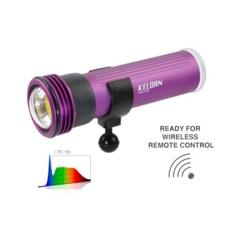 KELDAN VIDEO 8XR 17000lm CRI96