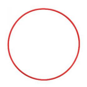 OLYMPUS O-RING BOITIER PT-0