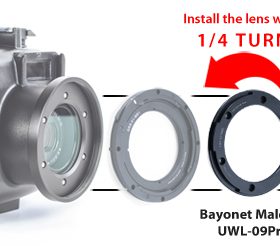 BAIONNETTE MÂLE FANTASEA POUR UWL-09PRO-0