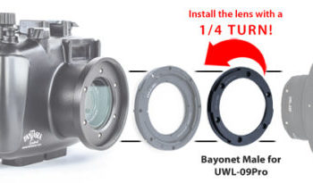 BAIONNETTE MÂLE FANTASEA POUR UWL-09PRO-0