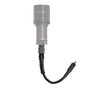 AMMONITE CABLE E/O 30CM