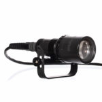 AMMONITE LED NAUTILUS – Image 2