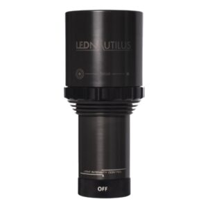 AMMONITE LED NAUTILUS