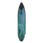 C4 PALMES L-1090 ​​BETTA CARBON – Image 4