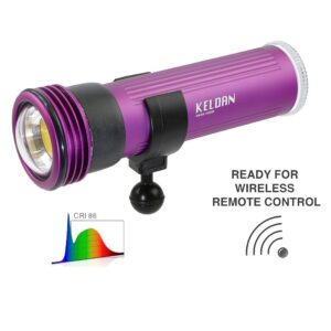 KELDAN VIDEO 8XR 20000lm CRI86