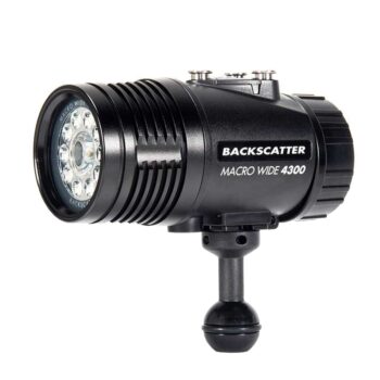 BACKSCATTER PHARE VIDEO MW-4300