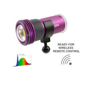 KELDAN VIDEO 4XR 11000 lm CRI86