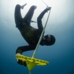 OCTOPUS PLAQUE DE FOND – Image 2