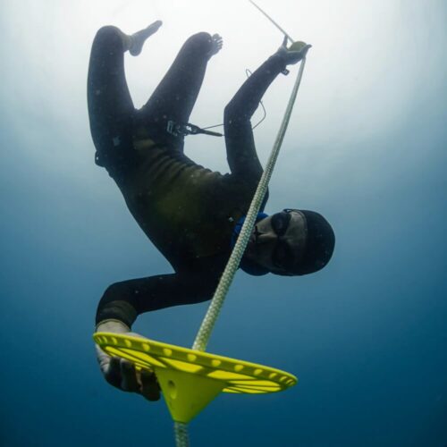 Octopus Grundplatte-1 (1) OCTOPUS PLAQUE DE FOND – Image 2